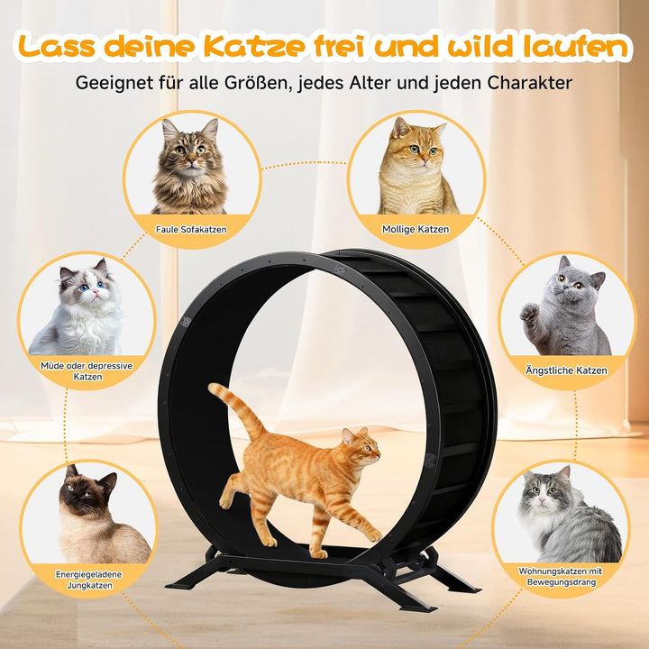 GTPLAYER Katzenlaufrad, laufrad Katze, Extra grosser 100 cm, ultraleises Laufrad mit Abnehmbarer Tep