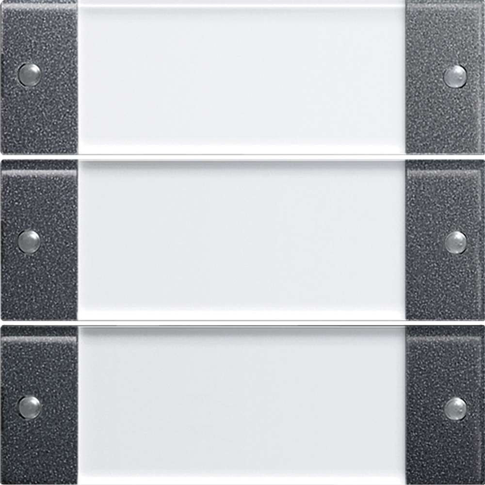 Gira 213328 Wippenset 3 Fach Beschriftungsfeld System 55, klar anthrazit