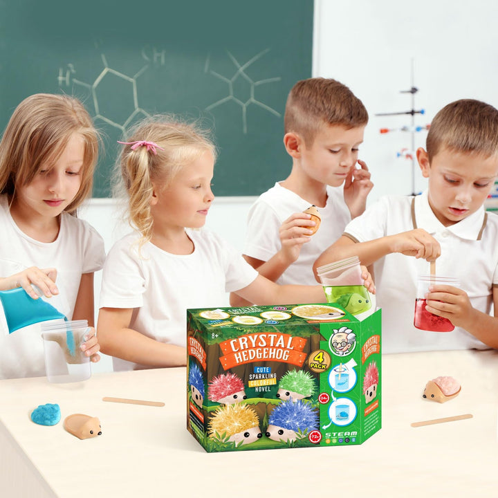Dr. Daz Igel Kristalle Züchten - Kristall Zucht Hedgehog, 4 Stück - Experimente für Kinder ab 6 7 8