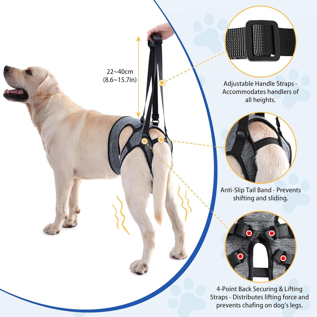 Dotoner Tragehilfe Hund, Anpassbare Tragehilfe für Alle Hundegrössen, Stabiler Beinsupport & Treppen