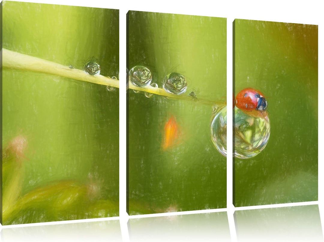 Pixxprint Marienkäfer als Leinwandbild/Grösse: 3 Teilig (120x80) cm/Wandbild/Kunstdruck/fertig bespa