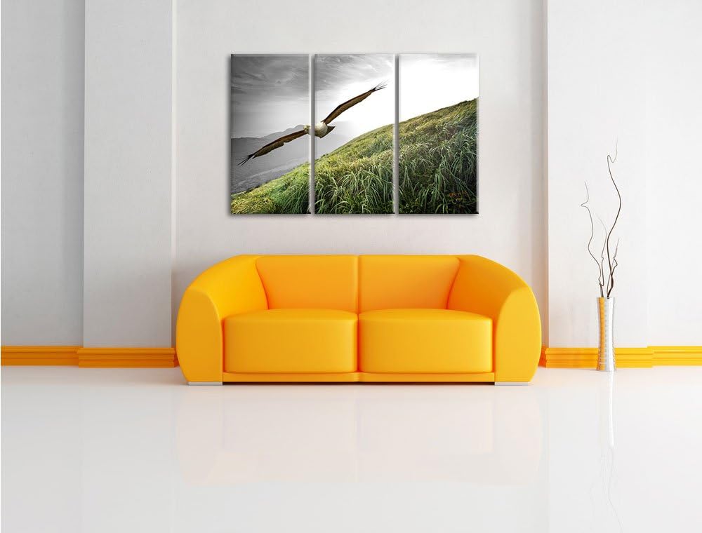 Pixxprint Majestätischer Weisskopfseeadler Schwarz/Weiss 3-Teiler Leinwandbild 120x80 Bild auf Leinw