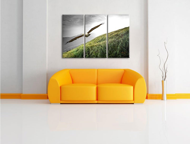 Pixxprint Majestätischer Weisskopfseeadler Schwarz/Weiss 3-Teiler Leinwandbild 120x80 Bild auf Leinw