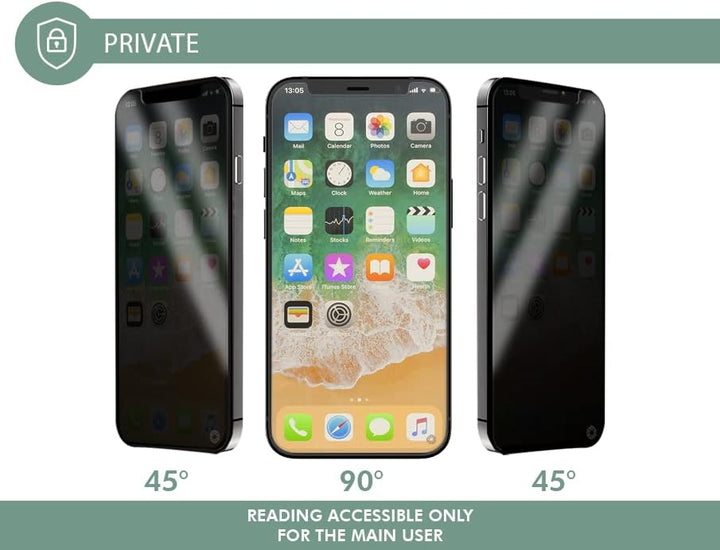 Force Glass Displayschutz aus organischem Glas mit lebenslanger Garantie und Installationsset für iP