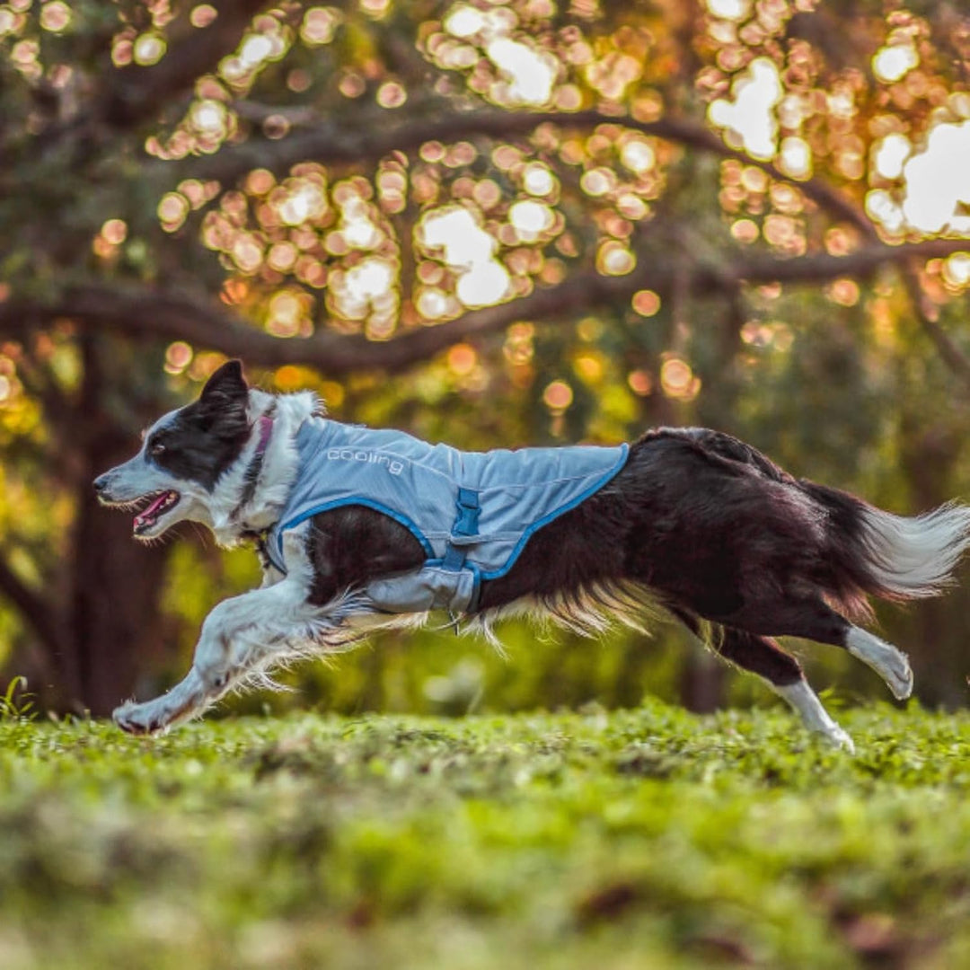 Kurgo Hundekühlweste - Sommer-Kühljacke - Hundemantel kompatibel mit Geschirr - Reflektierende Akzen