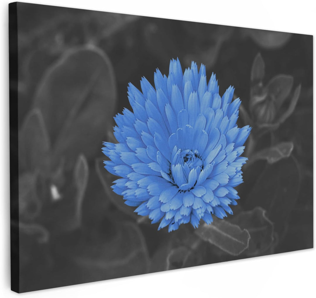 MuchoWow Leinwand Bilder, Einzigartige Wanddeko mit Rahmen, Blumen - Schwarz - Weiss - Blau, Wandbil