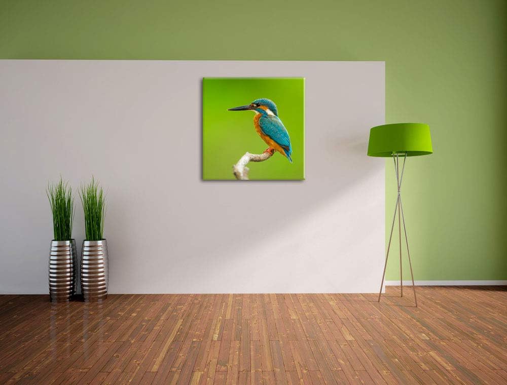 Kleiner Eisvogel, Format: 70x70 auf Leinwand, XXL riesige Bilder fertig gerahmt mit Keilrahmen, Kuns