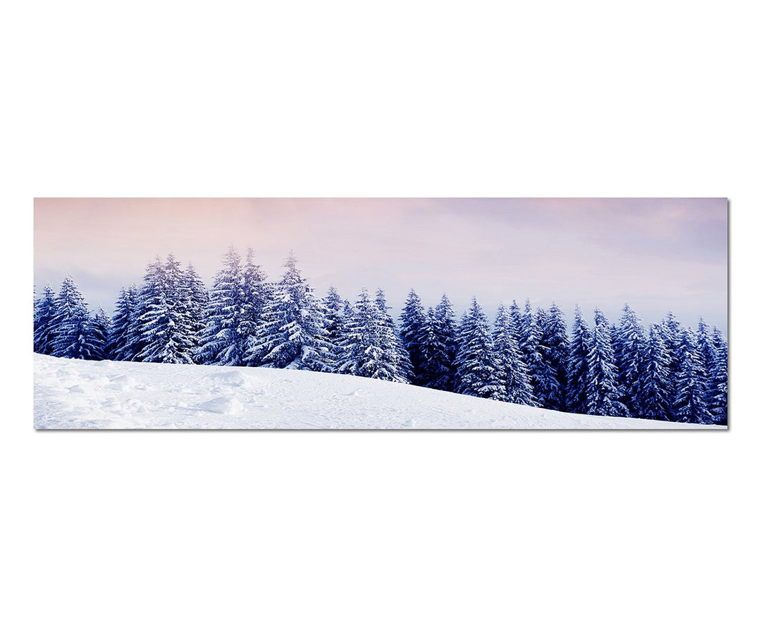 Paul Sinus Art Panoramabild auf Leinwand und Keilrahmen 150x50cm Winterlandschaft Wald Sonne Wolkenh