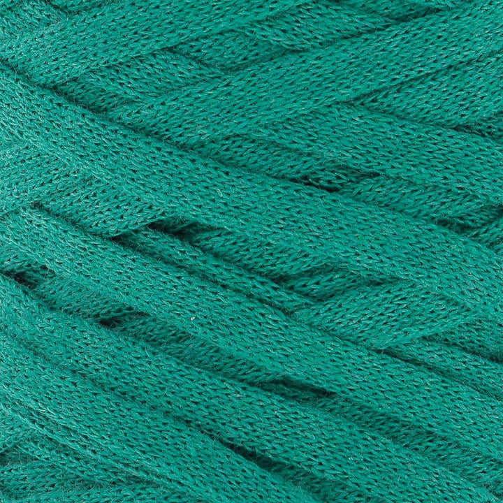 Hoooked Ribbon XL Bändchengarn Sparset aus 4 Rollen Wahl (Lush Green), Lush Green