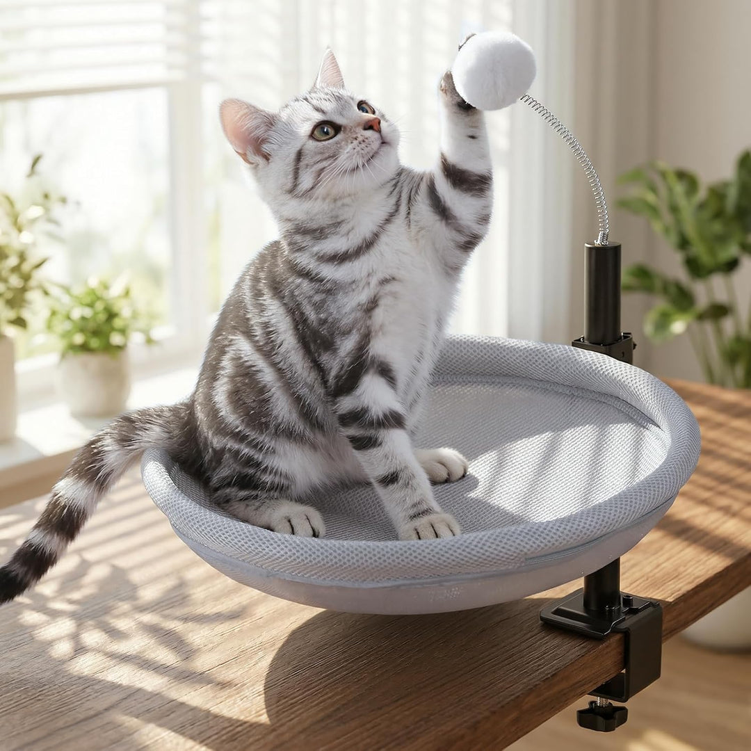 Katzenbett für Schreibtisch, Hängebett für Katzen 360 ° drehendes & höhenverstellbar mit Hängeball,