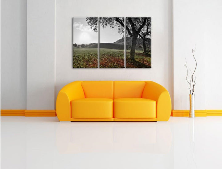 Pixxprint Landschaft im Herbst B&W Detail 3-Teiler Leinwandbild 120x80 Bild auf Leinwand