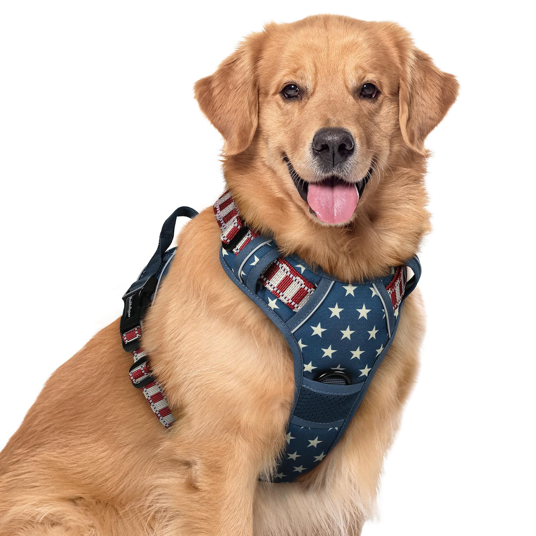 rabbitgoo Hundegeschirr Mittelgrosse Hunde, Anti Zug Geschirr mit Kontrolle, No Pull Verstellbar Hun