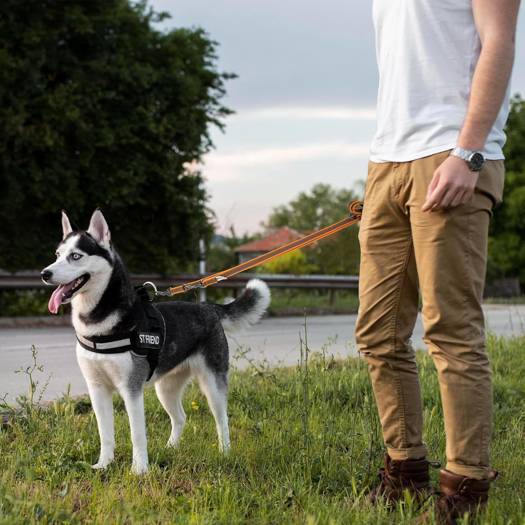 Wisedog 3m Orange doppelendige gummierte Hundeleine Leichtgewichtige Hands Free Leine für Hund rutsc