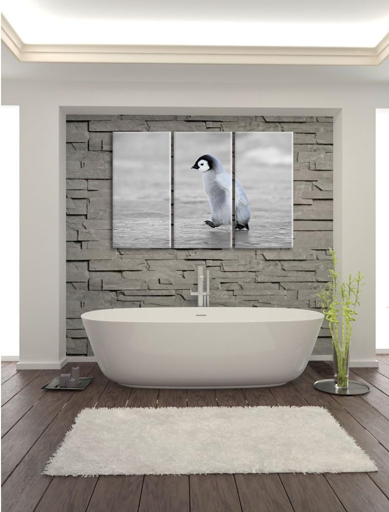 Pixxprint Niedliches Kaiserpinguinkücken als Leinwandbild/Grösse: 3 Teilig (120x80) cm/Wandbild/Kuns