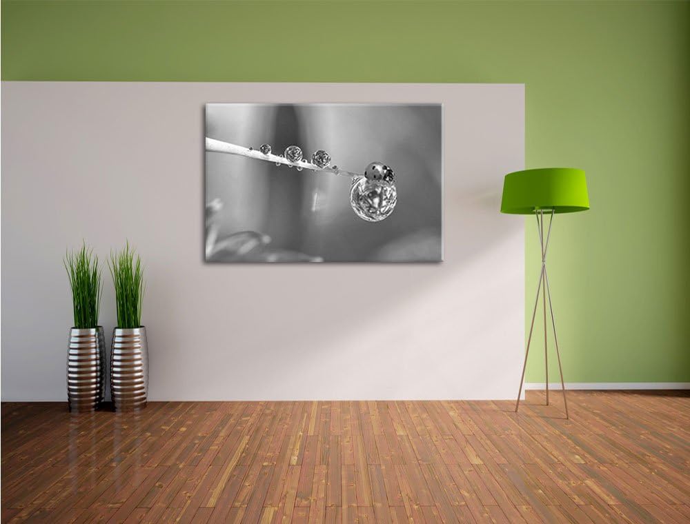 Pixxprint Marienkäfer als Leinwandbild/Grösse: 100x70 / Wandbild/Kunstdruck/fertig bespannt, 100x70