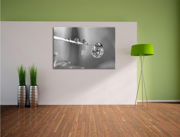 Pixxprint Marienkäfer als Leinwandbild/Grösse: 100x70 / Wandbild/Kunstdruck/fertig bespannt, 100x70