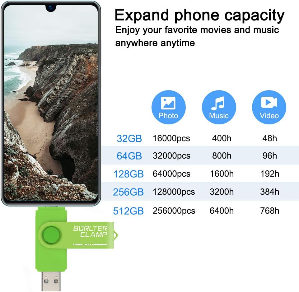 BORLTER CLAMP 256GB USB-Stick 2 in 1 Dual Port USB 3.0 Speicherstick OTG Flash-Laufwerk für Micro-US