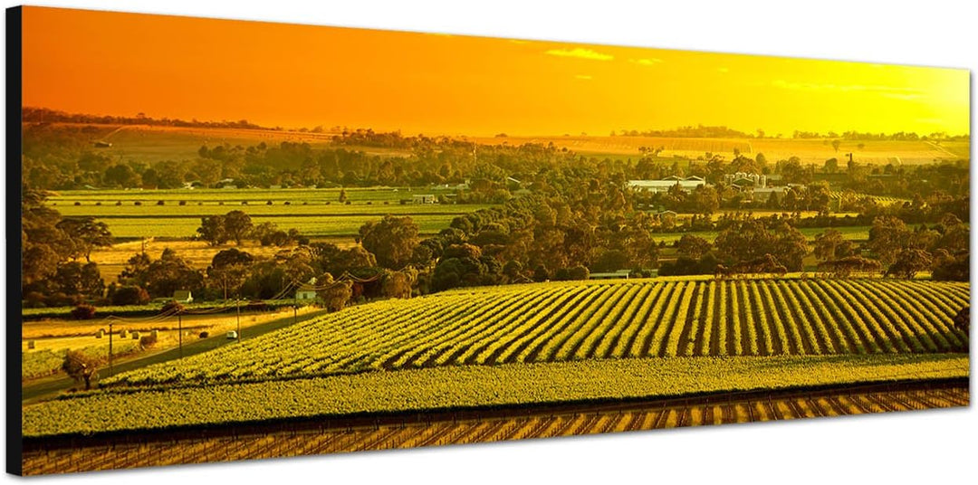 Paul Sinus Art Panoramabild auf Leinwand und Keilrahmen 150x50cm Australien Landschaft Sonnenunterga