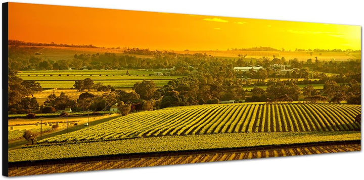 Paul Sinus Art Panoramabild auf Leinwand und Keilrahmen 150x50cm Australien Landschaft Sonnenunterga