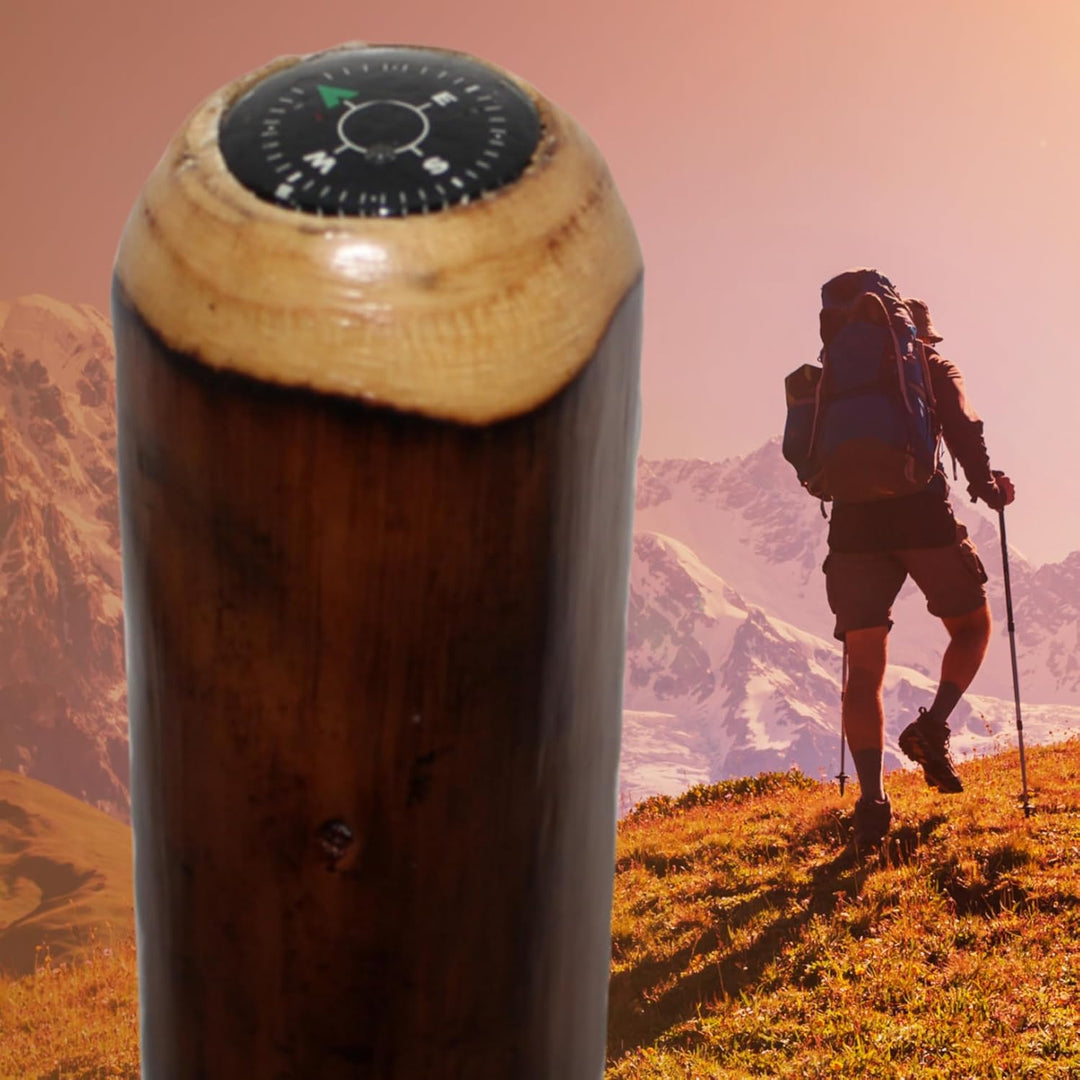 DELFA Design Wanderstock Spazierstock - mit Kompass im Griff - Schaft aus Kastanienholz - die edle W