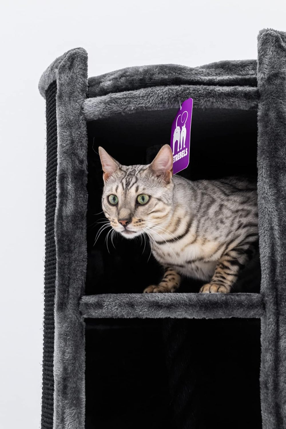Petrebels Kratztonne XL Superdome 100 cm hoch, Ø 50 cm, Design Kratztonne für grosse Katzen, extra B