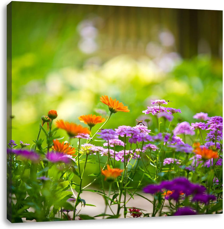 Pixxprint Blumenwiese, Format: 70x70 auf Leinwand, XXL riesige Bilder fertig gerahmt mit Keilrahmen,