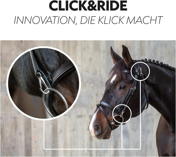 SUNRIDE englisch kombinierte Trense Berlin mit Zügel, aus weichem Echtleder mit Clip-Verschluss, ver