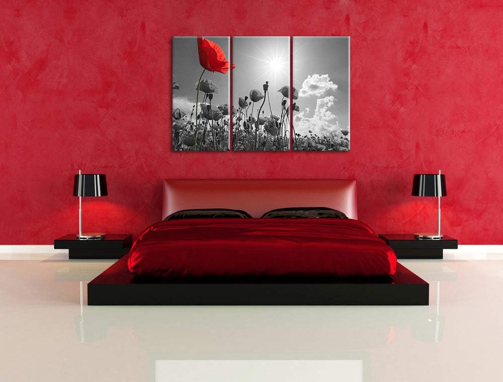 Pixxprint Mohnblumenfeld im Sommer als Leinwandbild | Grösse: 3 Teilig (120x80) | Wandbild| Kunstdru