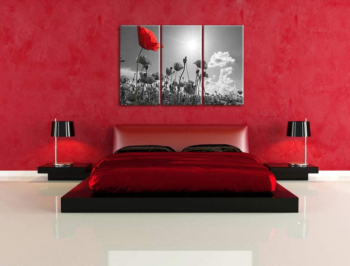 Pixxprint Mohnblumenfeld im Sommer als Leinwandbild | Grösse: 3 Teilig (120x80) | Wandbild| Kunstdru