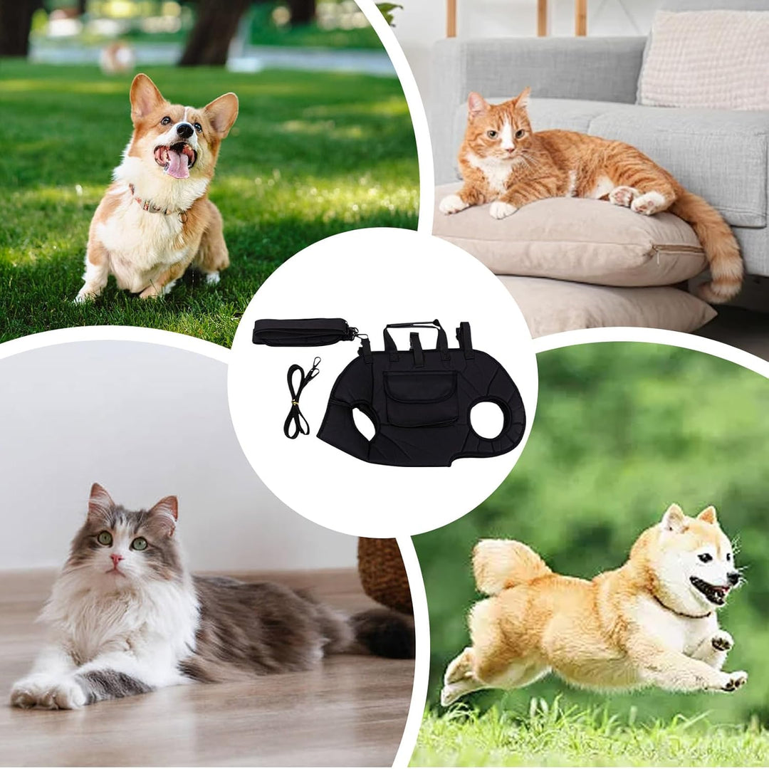Kleine Hundetrage,Kleine Hundetransporttasche Katzen Tragetasche | Katzentrage Mit Schultergurt Atmu
