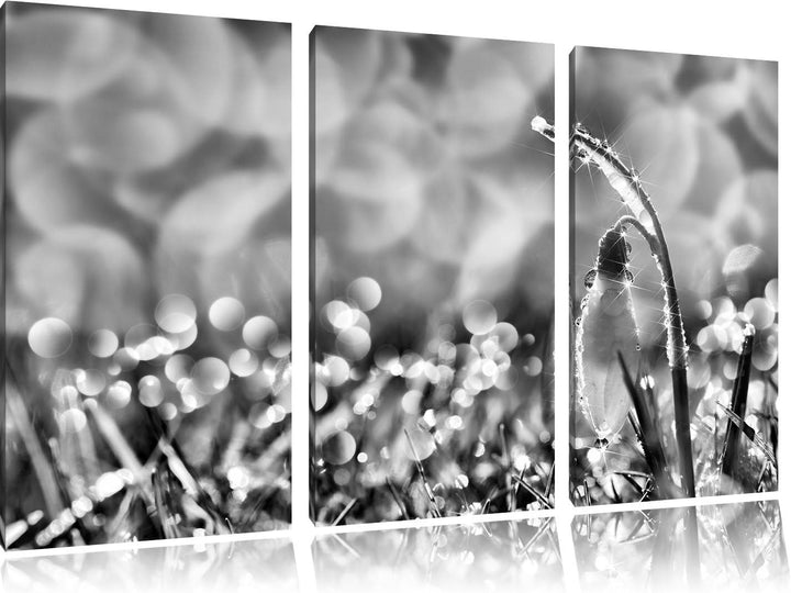 Pixxprint Schneeglöckchen auf Frühlingswiese als Leinwandbild/Grösse: 3 Teilig (120x80 cm) cm/Wandbi
