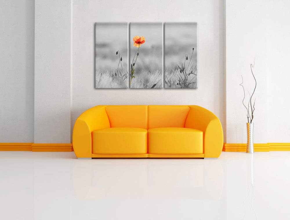 Rote Mohnblume im Feld schwarz/weiss 3-Teiler Leinwandbild 120x80 Bild auf Leinwand, XXL riesige Bil
