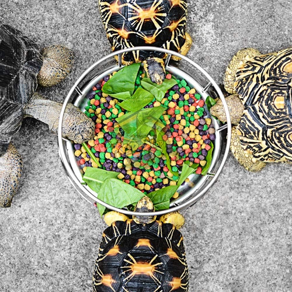 Schildkröten Futter Wassernapf Futterspender Edelstahl Futter Napf Wasserschale Runder Futternapf Sp