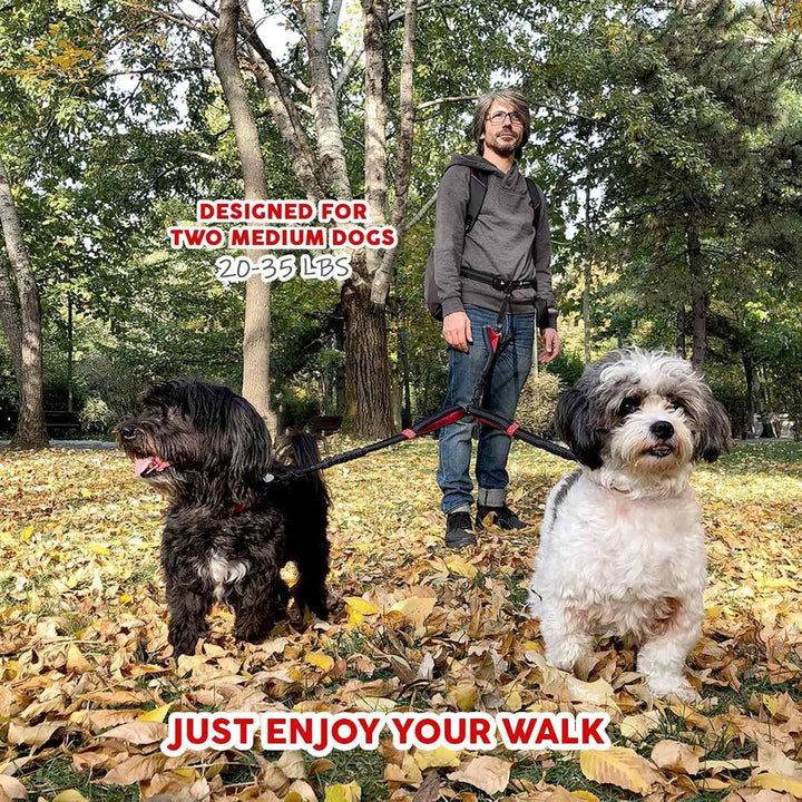 Pet Dreamland Dog Coupler 360 Leash Splitter for Small, Medium Dogs, No Tangle, Shock Absorbing Refl
