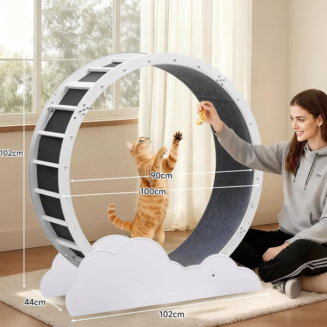 GTPLAYER Katzenlaufrad, laufrad Katze, Extra grosser 100 cm, ultraleises Laufrad mit Abnehmbarer Tep