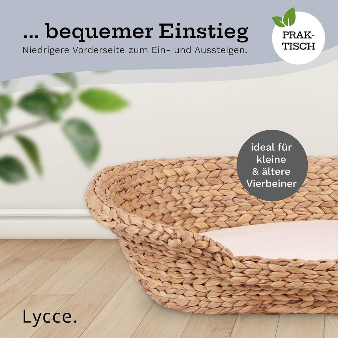 Katzenbett Hundebett für kleine Hunde | Kissen waschbar bei 30° | ovale Form mit hohem Rand | Wasser