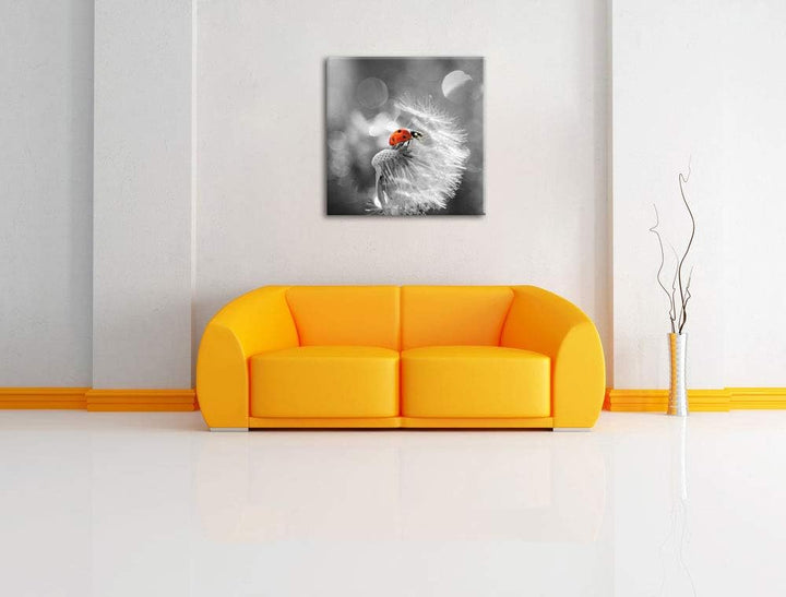 Pixxprint Kleiner Marienkäfer auf Pusteblume schwarz/weiss, Format: 70x70 auf Leinwand, 70x70