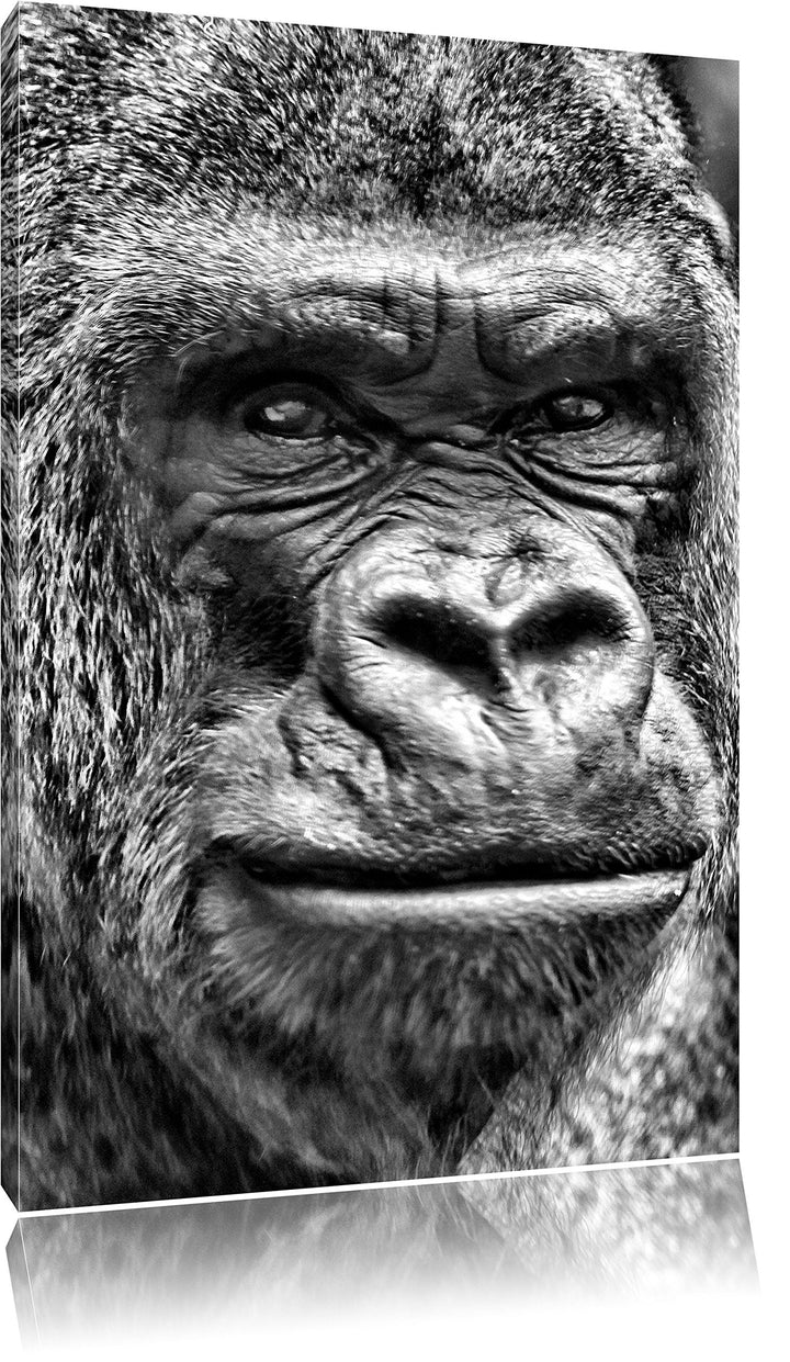 Pixxprint stolzer Gorilla als Leinwandbild/Grösse: 100x70 cm/Wandbild/Kunstdruck/fertig bespannt, 10