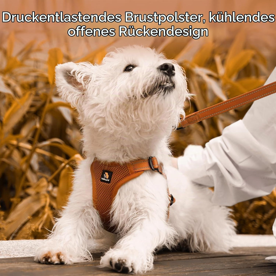 BELLA &amp; PAL Hundegeschirr und Leine Set, Step-in Design mit atmungsaktivem Air-Mesh, reflektierenden