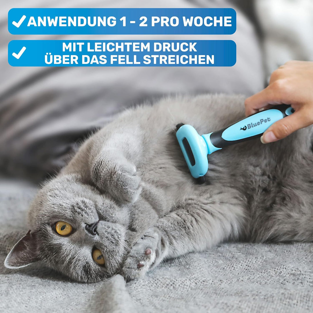 BluePet Katzenbürste & Hundebürste Kurzhaar zum Entfernen von losem Fell & Unterwolle I Bis zu 90% w