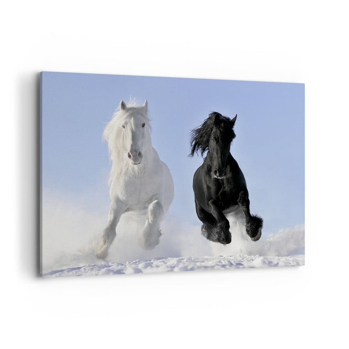 Bilder auf Leinwand 100x70cm Leinwandbild Tiere Schönheit Wettbewerb Gross Wanddeko Bild Schlafzimme