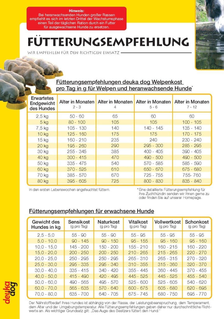 deuka 2 x 15 kg Dog Vitalkost, ausgewogene Vollnahrung für Erwachsene, normal aktive Hunde