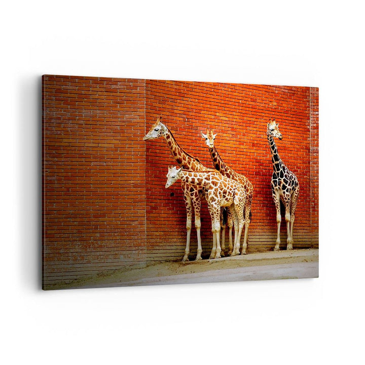 Bilder auf Leinwand 100x70cm Leinwandbild Tiere Giraffen Zoo Familie Gross Wanddeko Bild Schlafzimme