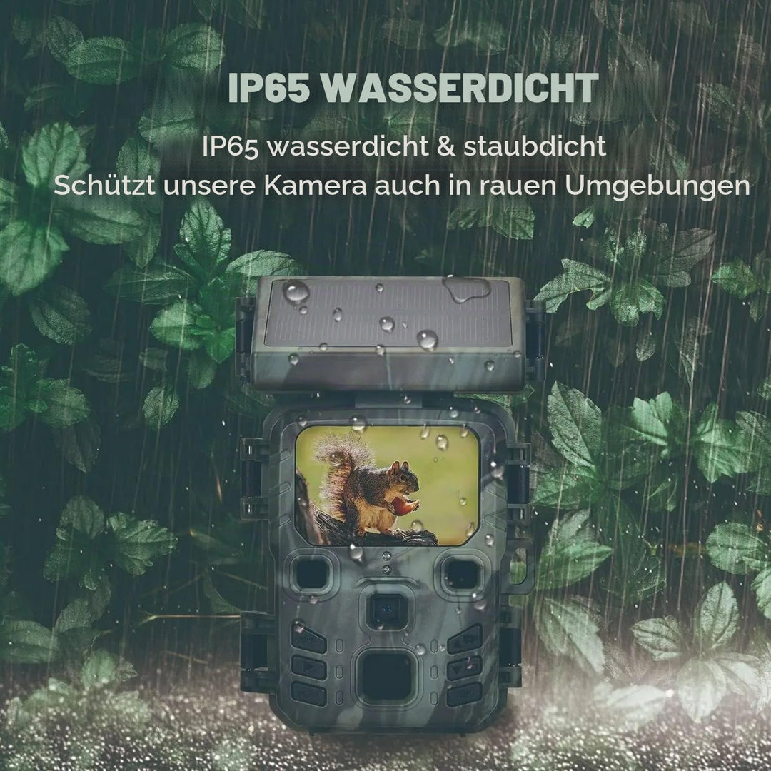 Wildkamera mit 2200mAh Akku, Solar 4K 50MP Wildtierkamera mit Nachtsicht Bewegungsmelder, 850nm IR L