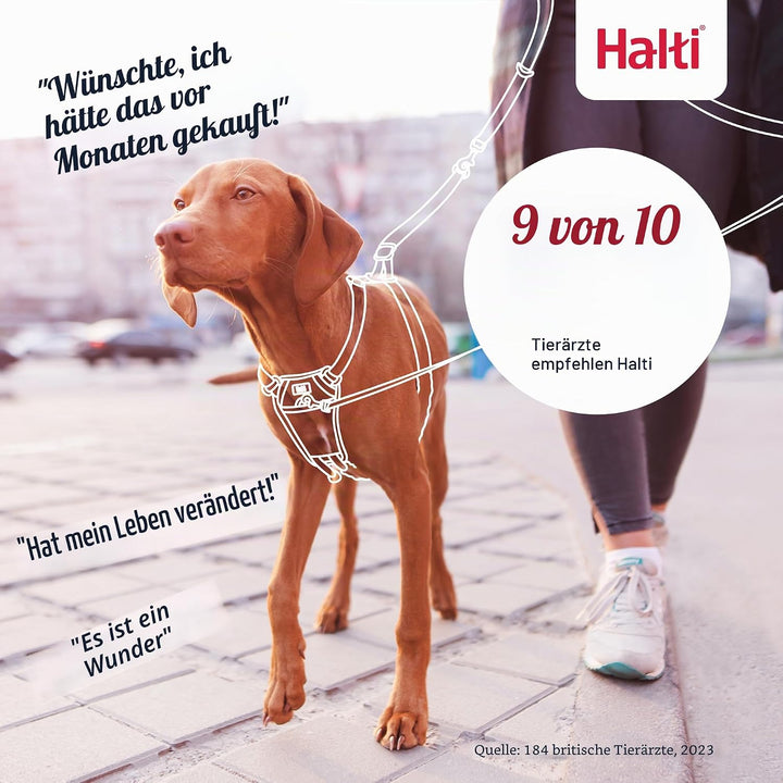 Halti No Pull Geschirr und Trainingsleine Kombipack, stoppt Hund beim Ziehen auf Spaziergängen mit H