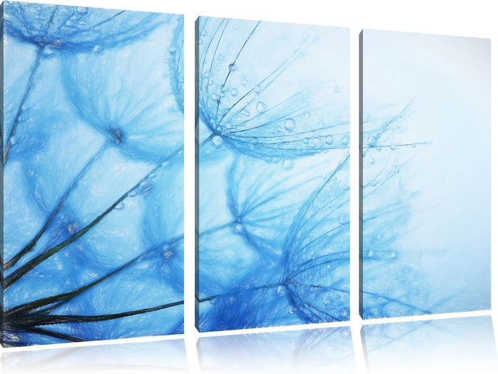 Pixxprint Tropfen bedeckte Pusteblumen Bunstift Effekt 3-Teiler Leinwandbild 120x80 Bild auf Leinwan
