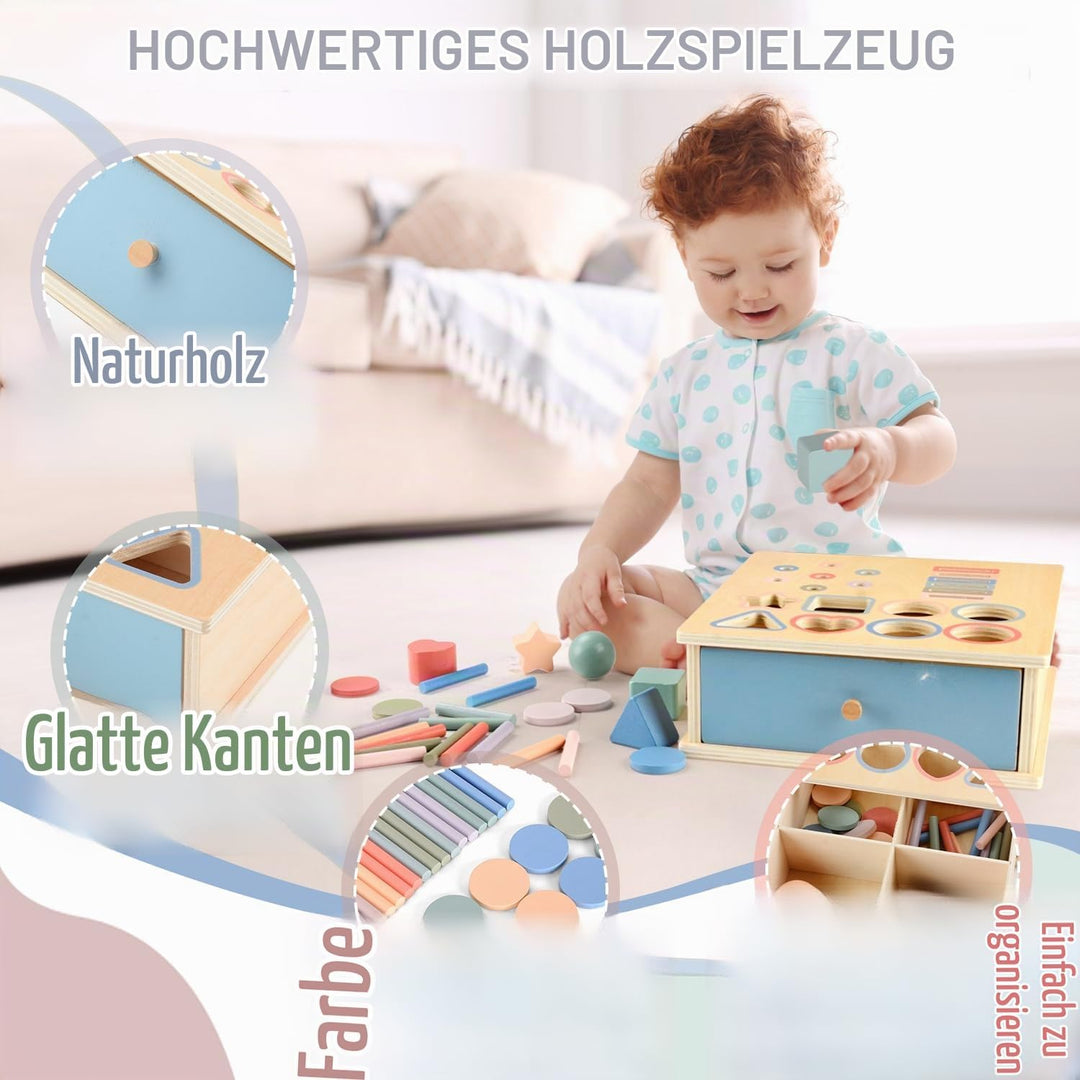 Montessori Spielzeug ab 1 2 3 Jahr, Farbe Form Sortierspiel ab 1 Jahr, Holzspielzeug Montessori ab 2