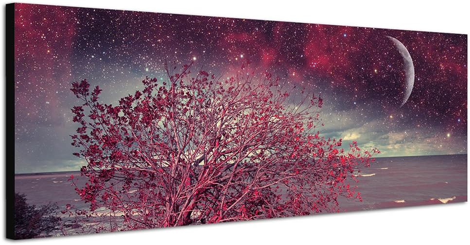 Paul Sinus Art Panoramabild auf Leinwand und Keilrahmen 150x50cm Meer Küste Busch Nacht Sterne Mond