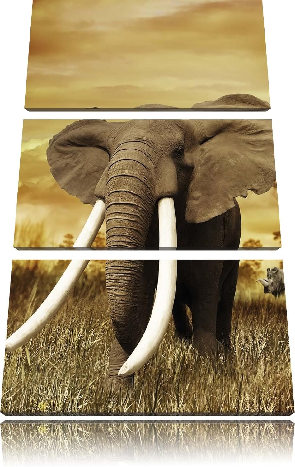 Pixxprint Stolzer Elefant in Savanne als Leinwandbild/Grösse: 3 Teilig (120x80) cm/Wandbild/Kunstdru