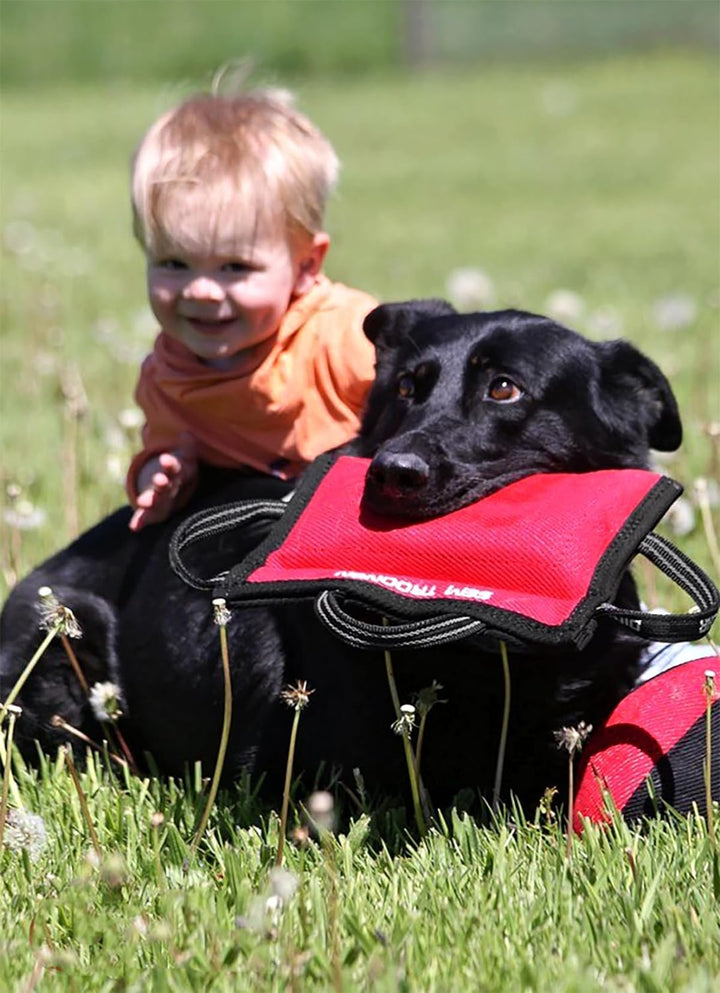 Dingo Gear Beisskissen Keilform Mini Weicher aus Baumwolle-Nylon Rot Welpen und Junge Hunde Ausbildu